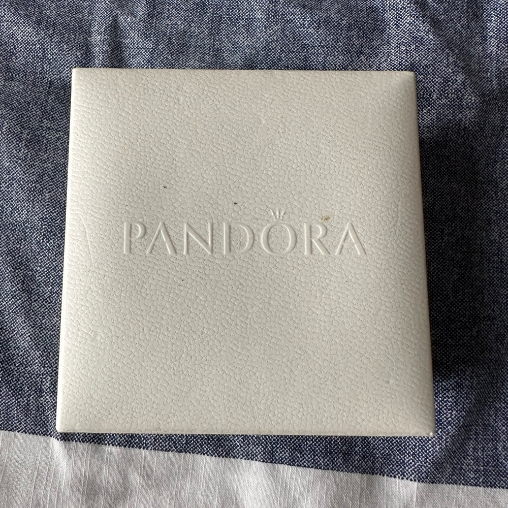 Pandora Silver Charm Bracelet with Intricate Details - Picture 2 of 4